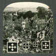 the album cover for Nesey Gallons - Eyes and Eyes and Eyes Ago