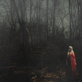 156/Silence - From A Distance (Indie Exclusive) [Half Blood Red / Half Evergreen W/ White Splatter] [Vinyl]