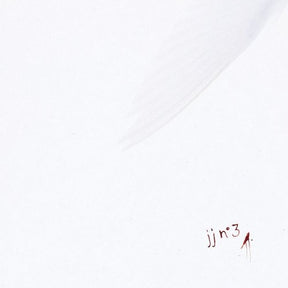 the album cover for JJ (Sweden) - JJ N 3