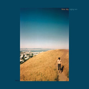the album cover for Berry - Blue Sky Raging Run