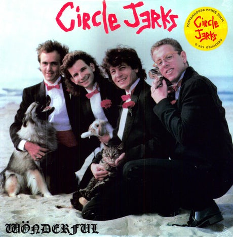 the album cover for Circle Jerks - Wonderful