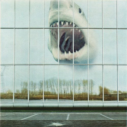 the album cover for Black Mountain - Wilderness Heart