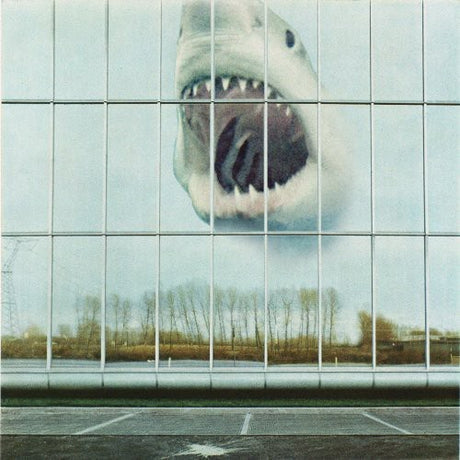 the album cover for Black Mountain - Wilderness Heart