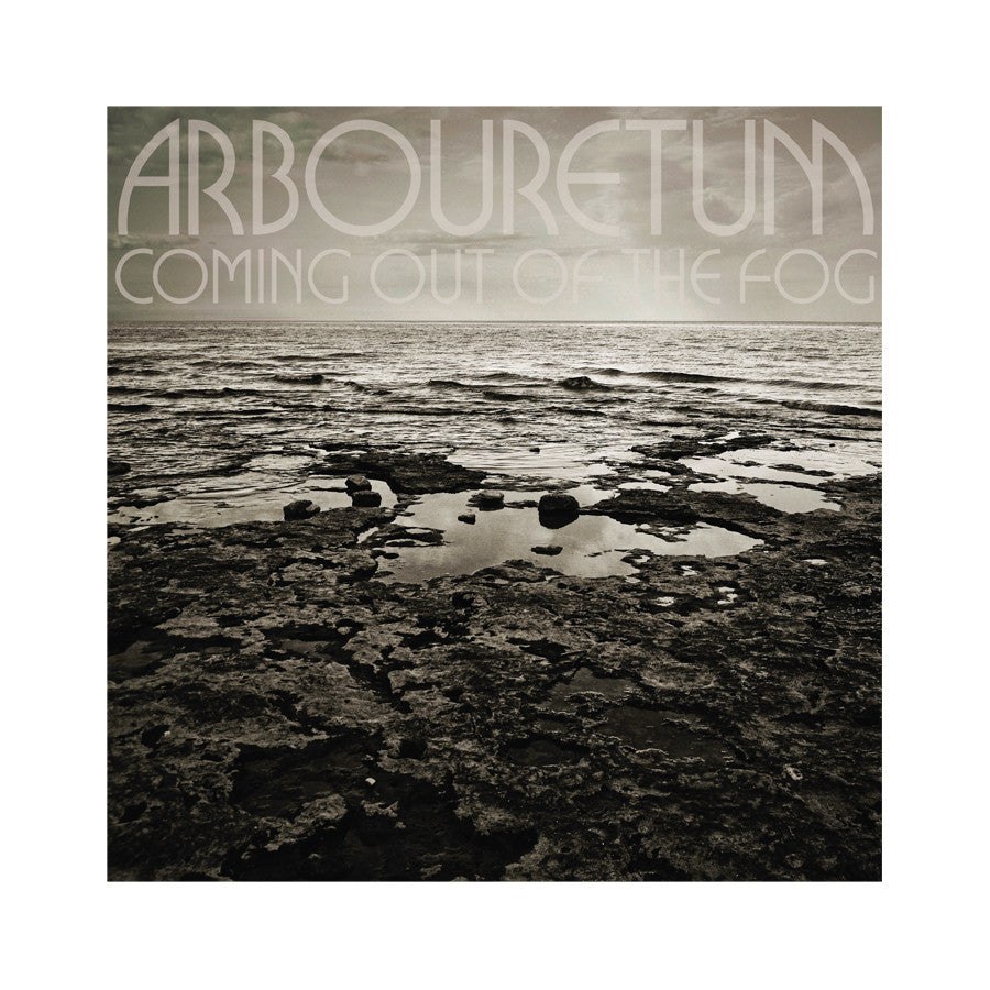 Coming Out of the Fog [CD]