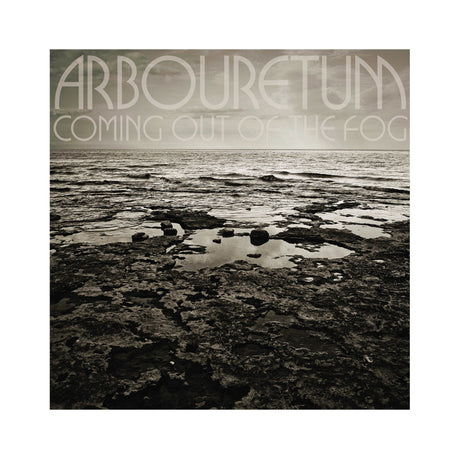 Coming Out of the Fog [CD]