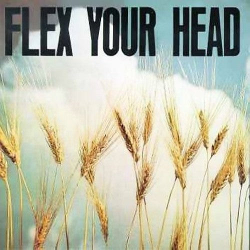 Flex Your Head (Vinyl)