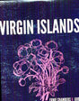 the album cover for Virgin Islands - Ernie Chambers v. God