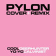 the album cover for Pylon - Cover + Remix