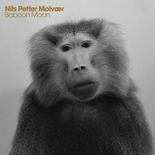 Nils Petter Molvaer - Baboon Moon [CD]