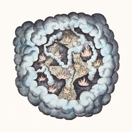 the album cover for Tw Walsh - Songs of Pain and Leisure