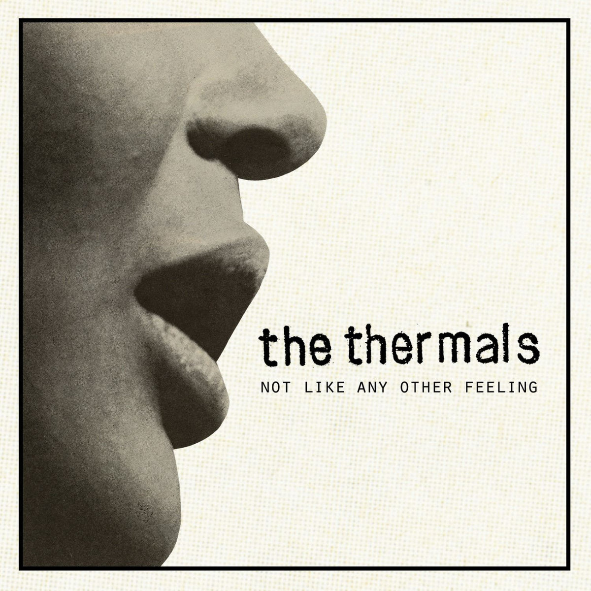 The Thermals - Not Like Any Other Feeling - 7 inch [Vinyl]