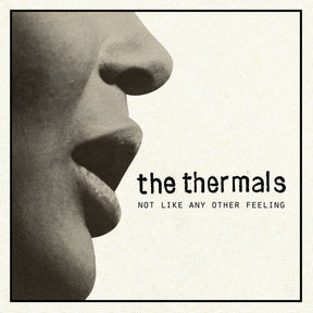 The Thermals - Not Like Any Other Feeling - 7 inch [Vinyl]
