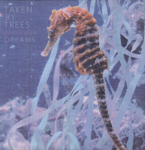 the album cover for Taken By Trees - Dreams