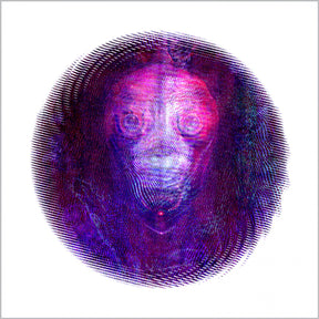 Magenta Line [Cassette]