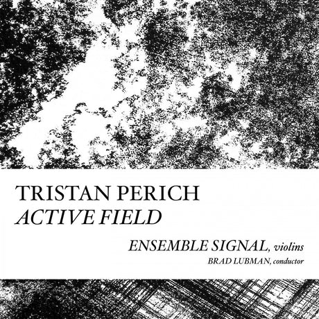 Compositions: Active Field [CD]