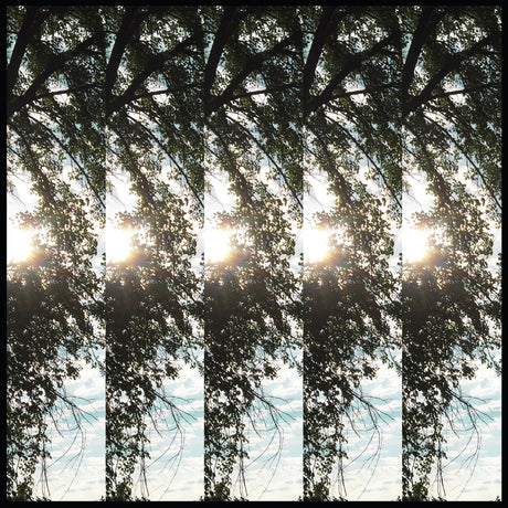 Dialectic of Ignorance [CD]