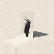 The Imperfect Sea (INDIE EXCLUSIVE, CLEAR VINYL) [Vinyl]