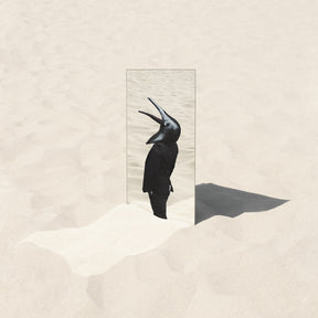 The Imperfect Sea (INDIE EXCLUSIVE, CLEAR VINYL) [Vinyl]