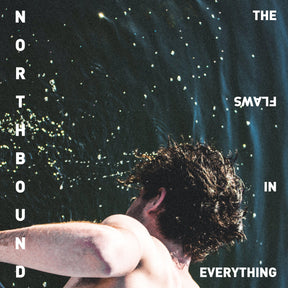 The Flaws In Everything [CD]