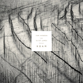 Present: Roam [Vinyl]