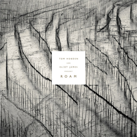 Present: Roam [Vinyl]
