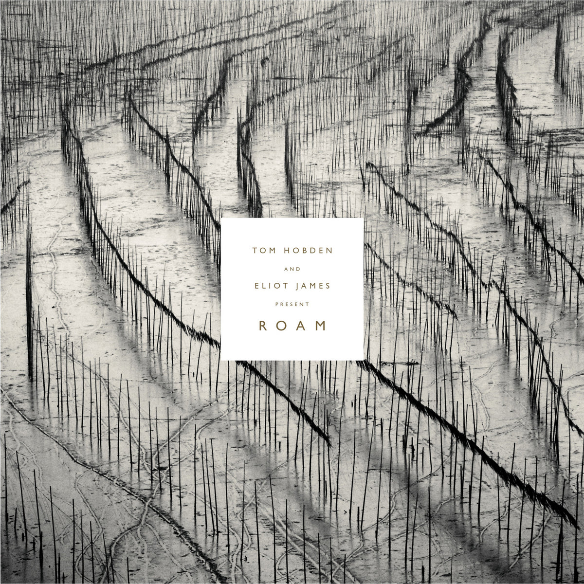 Present: Roam [CD]