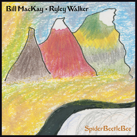SpiderBeetleBee [Vinyl]