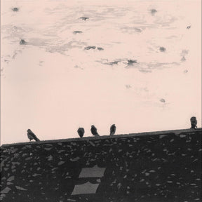 Arrhythmia [Vinyl]
