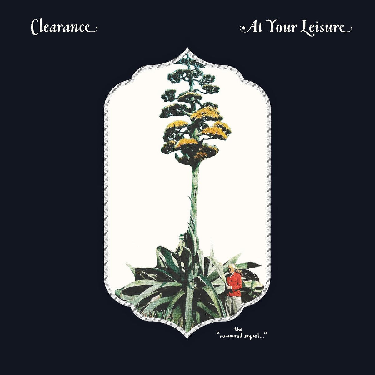 At Your Leisure [Cassette]