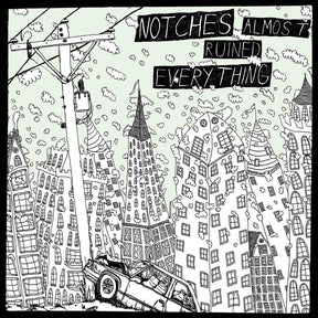 Almost Ruined Everything [Vinyl]