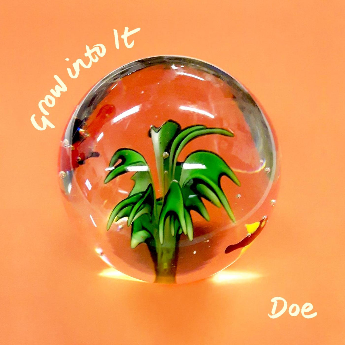 Doe - Grow into It [Vinyl]