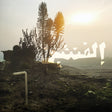 Elephantine [CD]