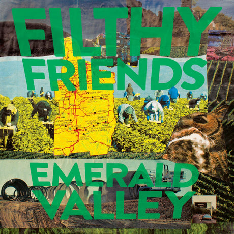 Filthy Friends - Emerald Valley [CD]