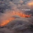 Palindrome [Vinyl]