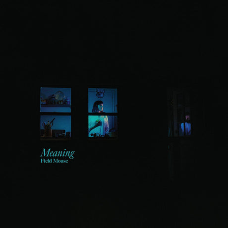Meaning [Cassette]