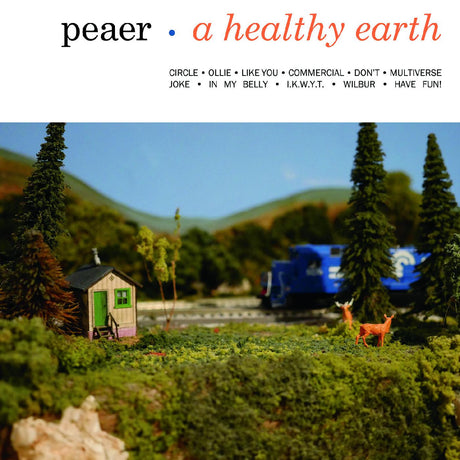 A Healthy Earth [CD]