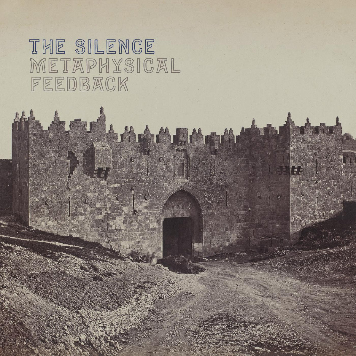 Metaphysical Feedback [Vinyl]