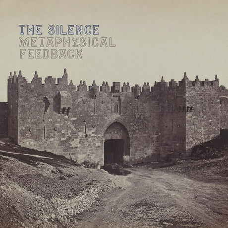 Metaphysical Feedback [Vinyl]