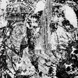 Weeping Icon [Vinyl]