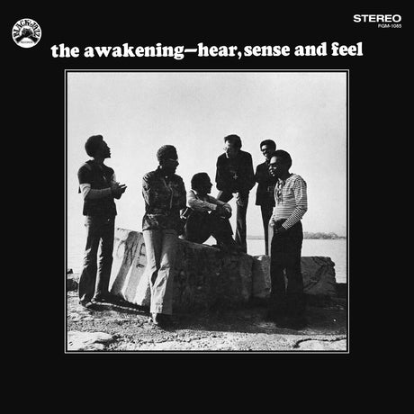 The Awakening - Hear, Sense and Feel (Remastered Vinyl Edition) [Vinyl]
