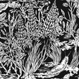 Wild Strawberries [CD]