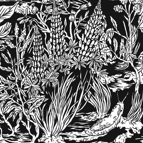 Wild Strawberries [CD]