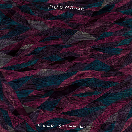 Hold Still Life [Cassette]