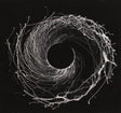 Dysnomia [CD]