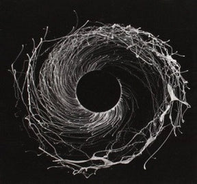 Dysnomia [CD]