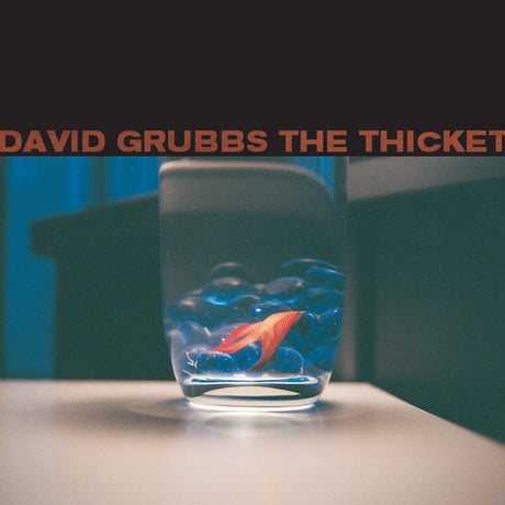 The Thicket [CD]
