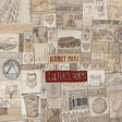 Cultural Norms [CD]