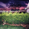 Captain Wild Horse Rides the H eart of Tomorrow [CD]