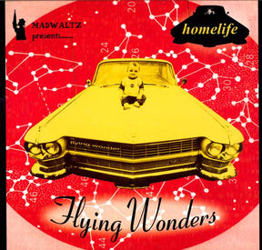 Flying Wonders [CD]