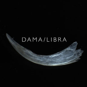 Claw [CD]